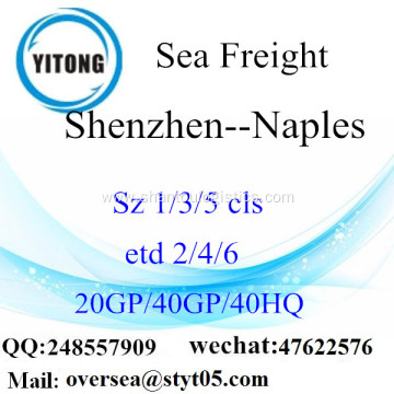 Shenzhen Port Sea Freight Shipping To Naples